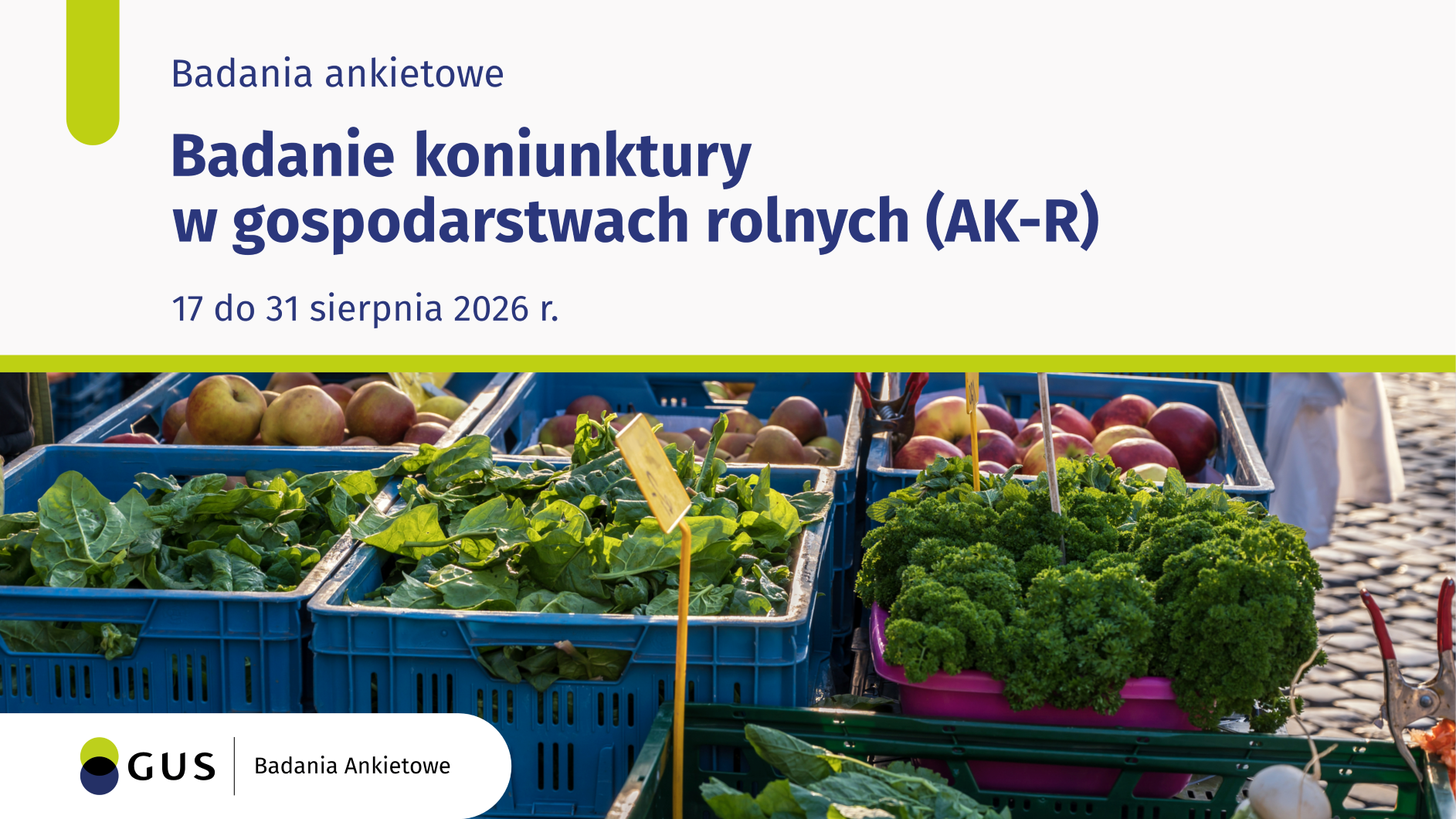 Białe tło, na górze tytuł, nazwa badania, data realizacji badania, poniżej zdjęcie, na zdjęciu owoce i warzywa w skrzynkach