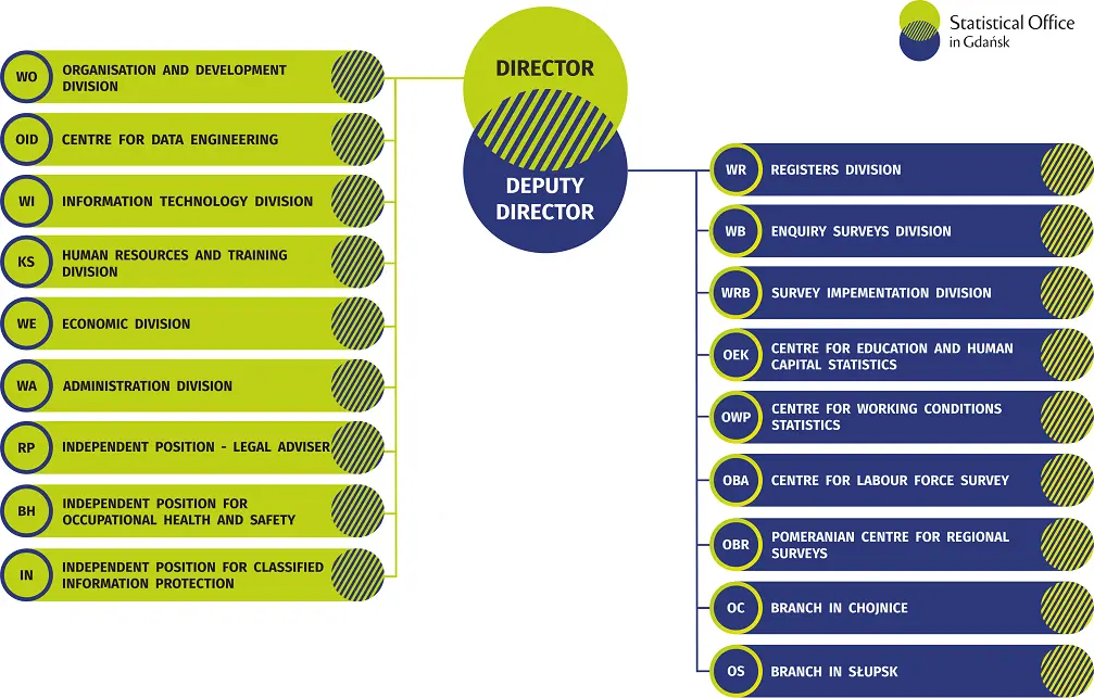 Organizational chart of the statistical office in Gdańsk